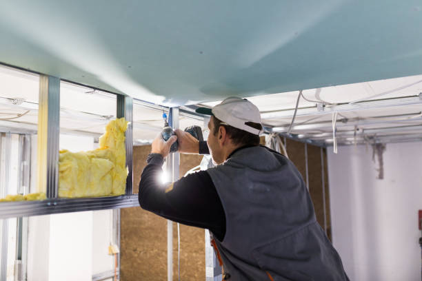 Best Spray Foam Insulation in Cheswold, DE