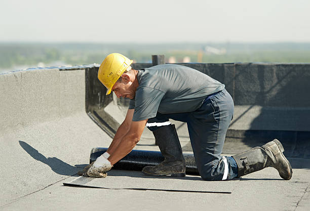 Professional Insulation Contractor in Cheswold, DE