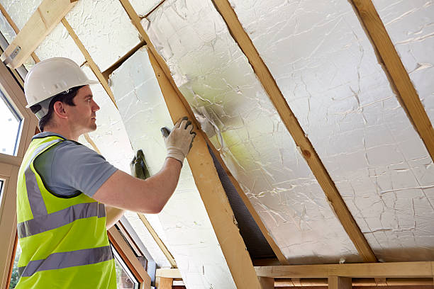 Best Specialized Insulation Services in Cheswold, DE