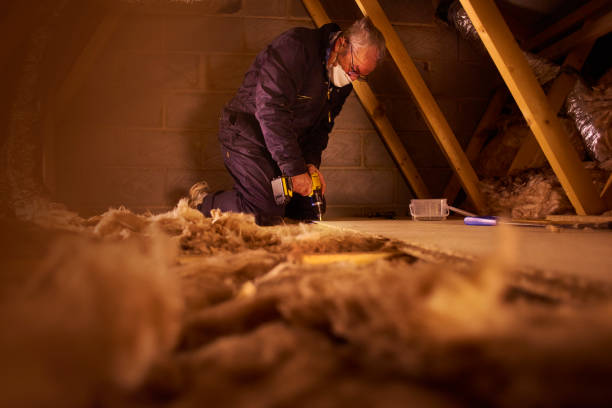 Types of Insulation We Offer in Cheswold, DE